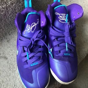 Lebron 9 Hornets